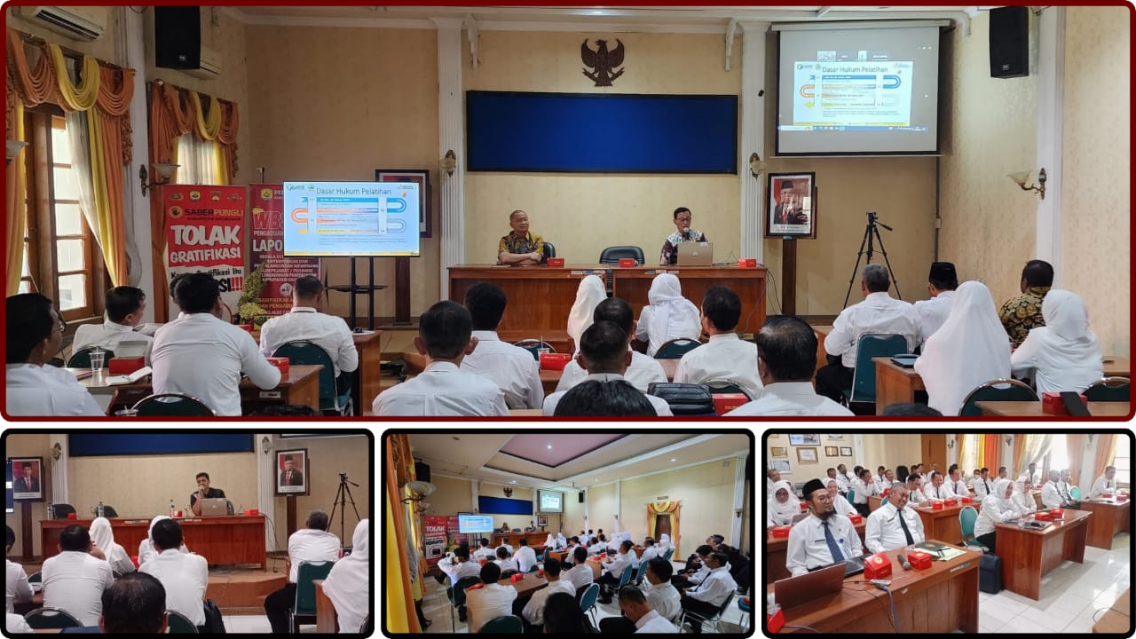 WhatsApp Image 2024 07 15 at 14.00.23